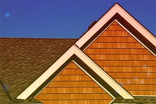 世纪证券上调金龙鱼评级至买入2021年三季度报点评:短期业绩受累长期向好