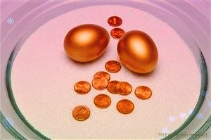 接棒美西、东南亚线运价疯狂上涨,船公司依旧躺赢